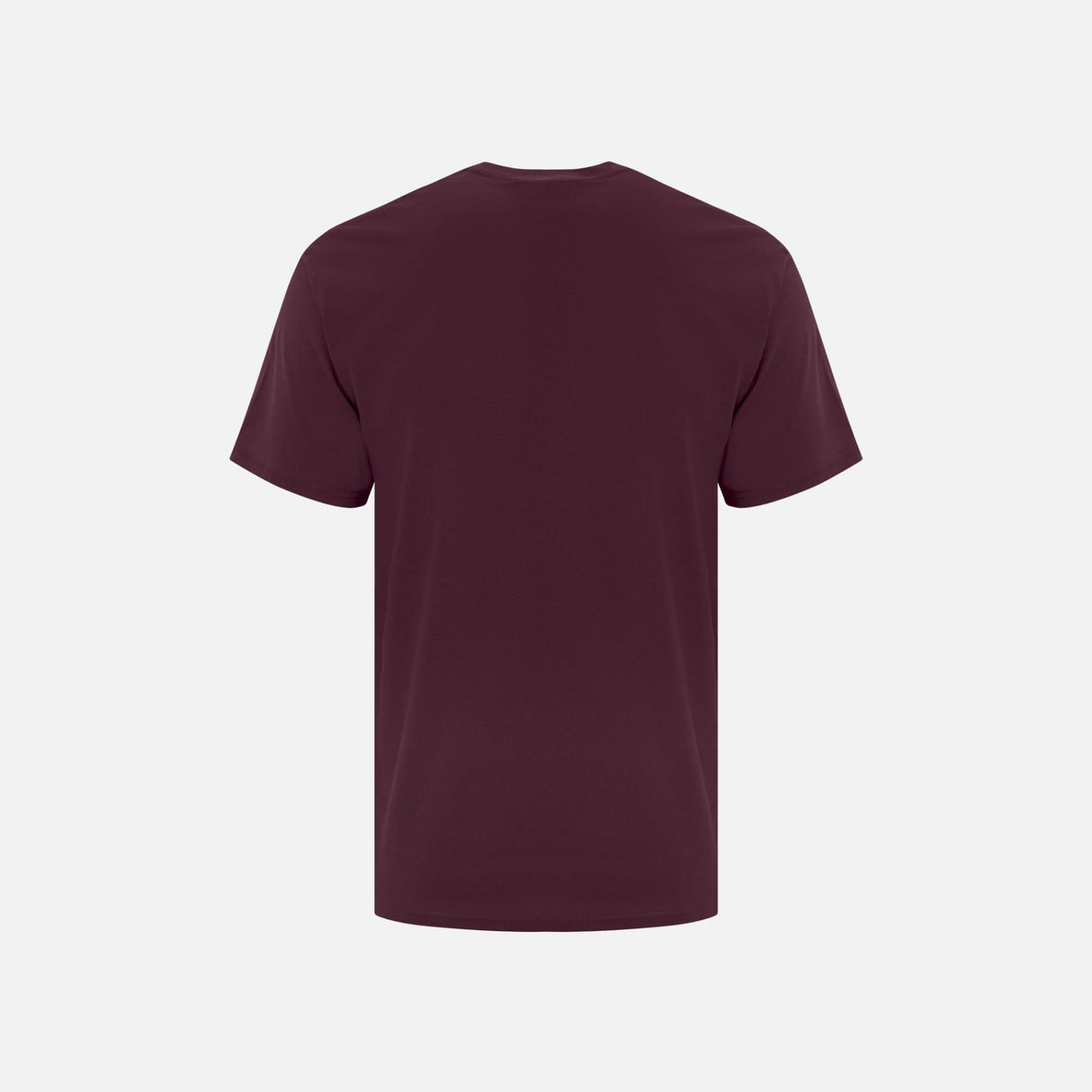 T-shirt à manches courtes ATC Everyday ATC1000 marron, vêtement pour homme, vue de face.