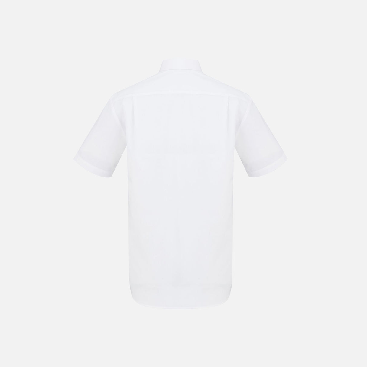 Chemise à manches courtes blanche Biz London pour homme, vêtement de chemise élégant et confortable pour le bureau.