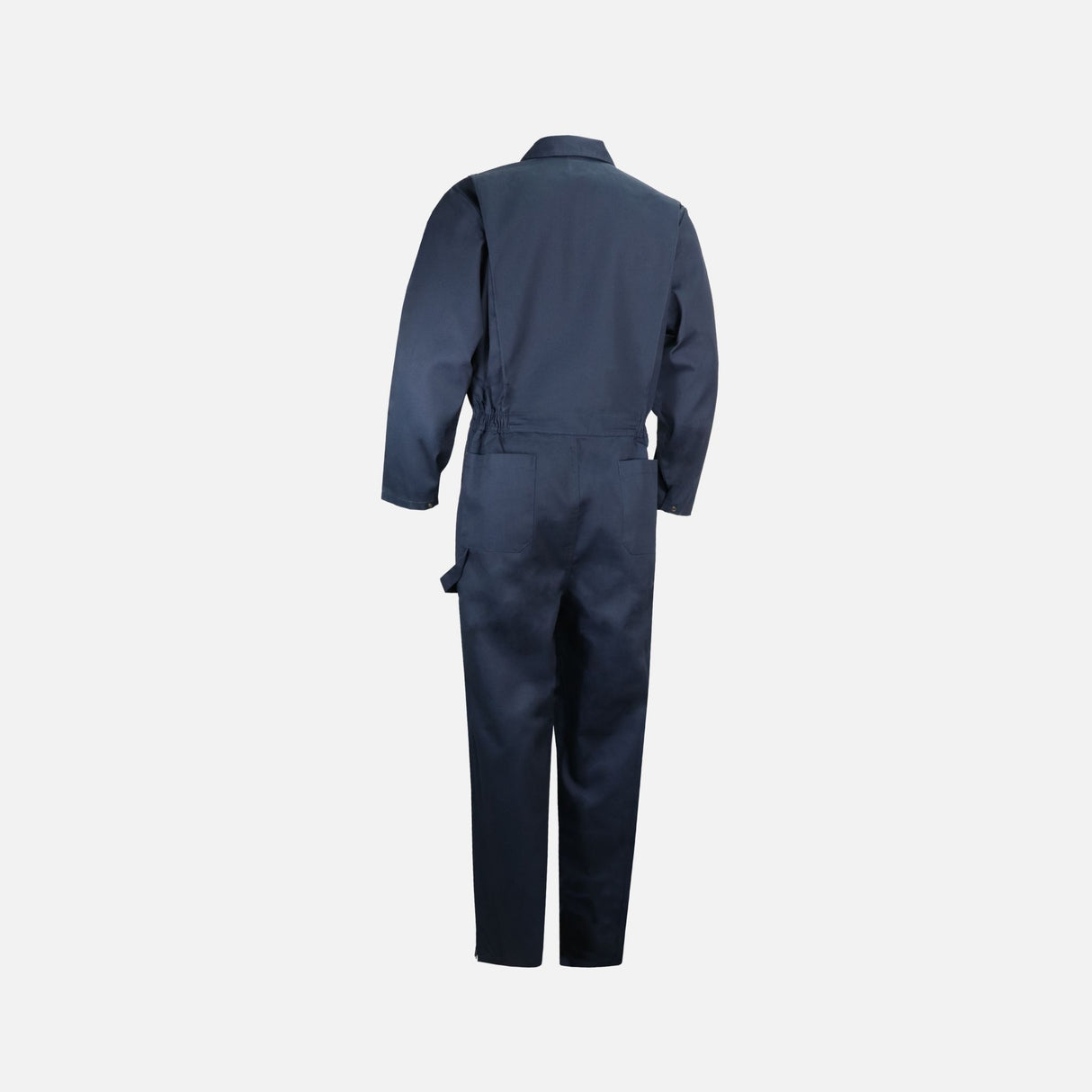 Chienne-travail-Gatts-791-marine-derrière