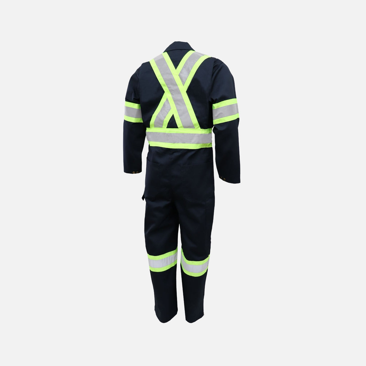 Chienne-travail-Gatts-791XD4-marine-derrière