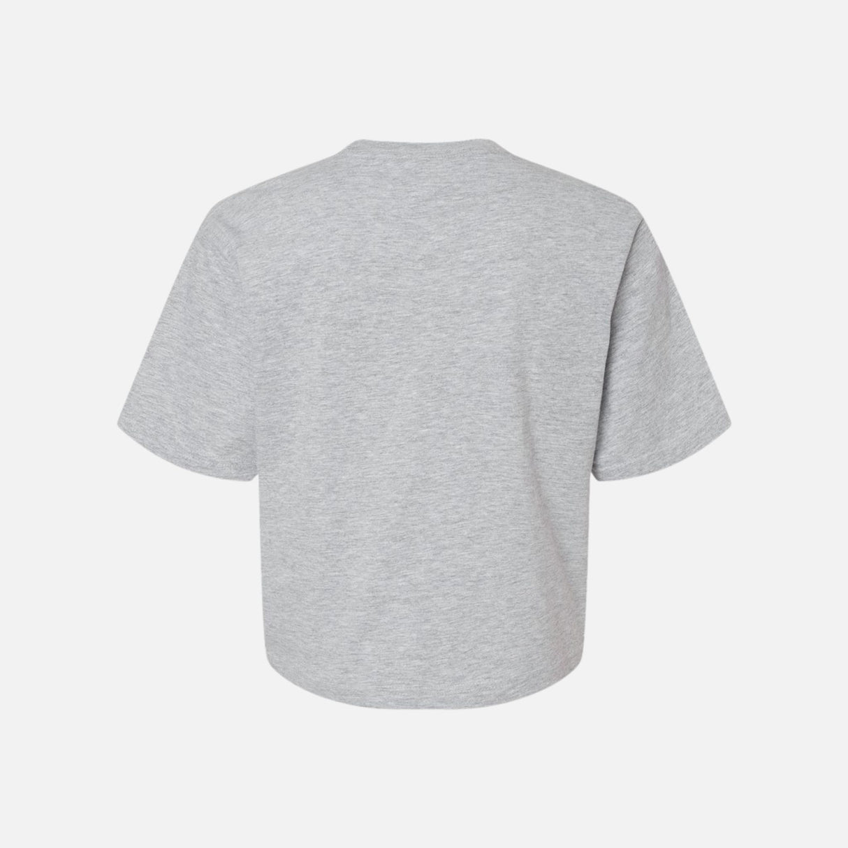 Chandail-manches-courtes-American-Apparel-102-gris-derrière