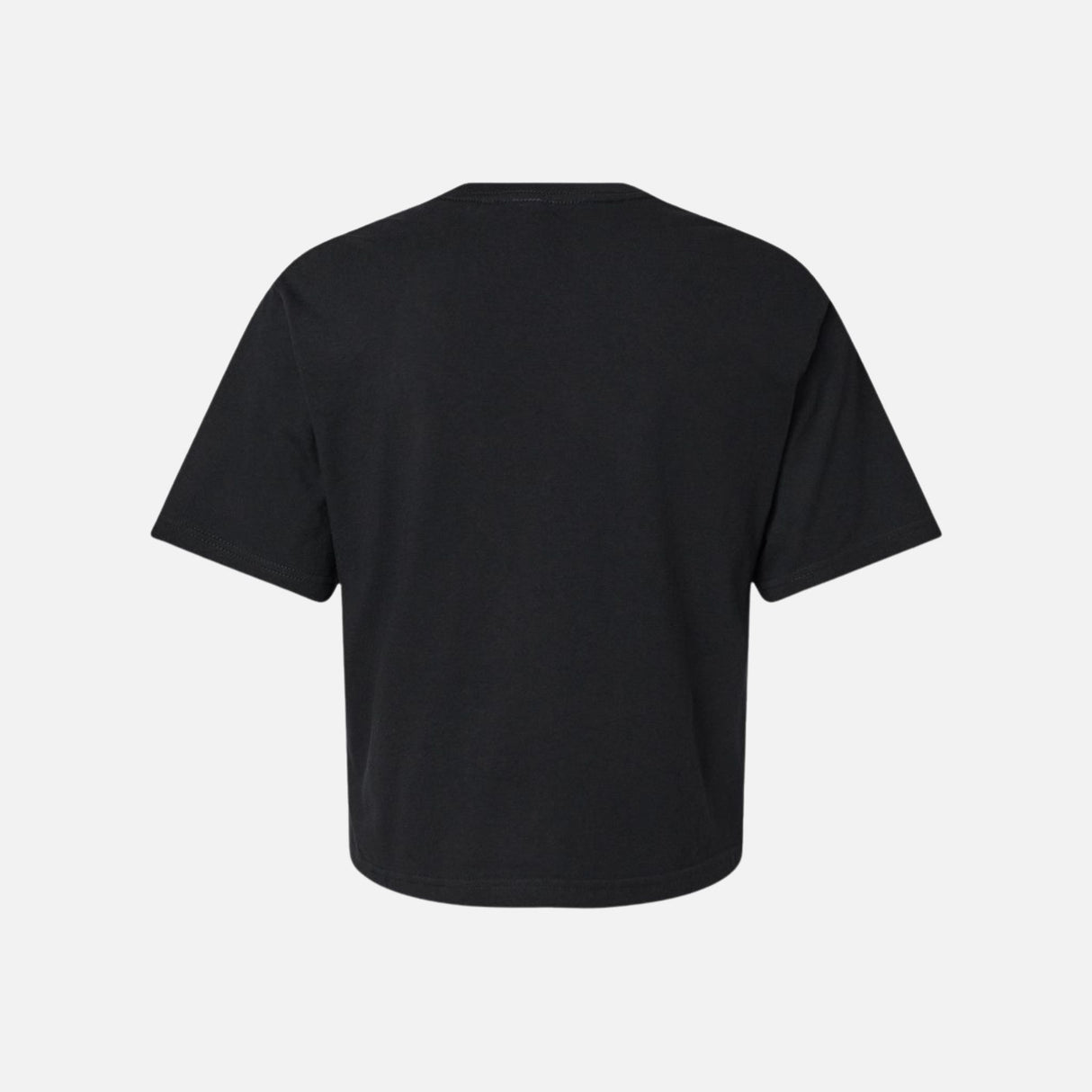 Chandail-manches-courtes-American-Apparel-102-noir-derrière