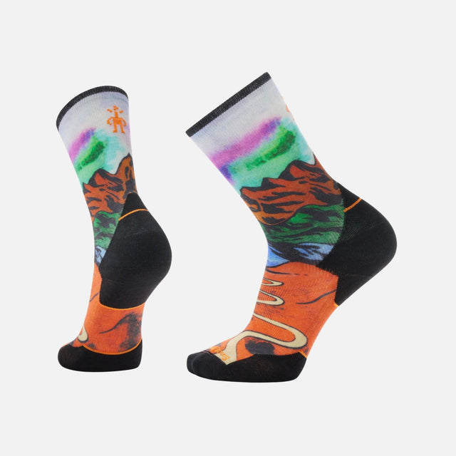 Chaussettes-unisexe-Smartwool-SW002267L17-1