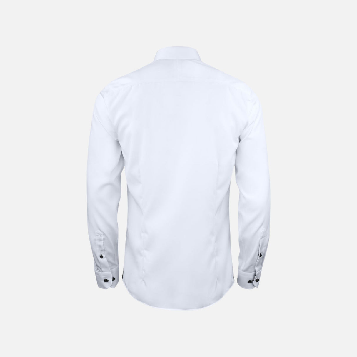 Chemise-homme-James-Harvest-2902001-blanc-derrière