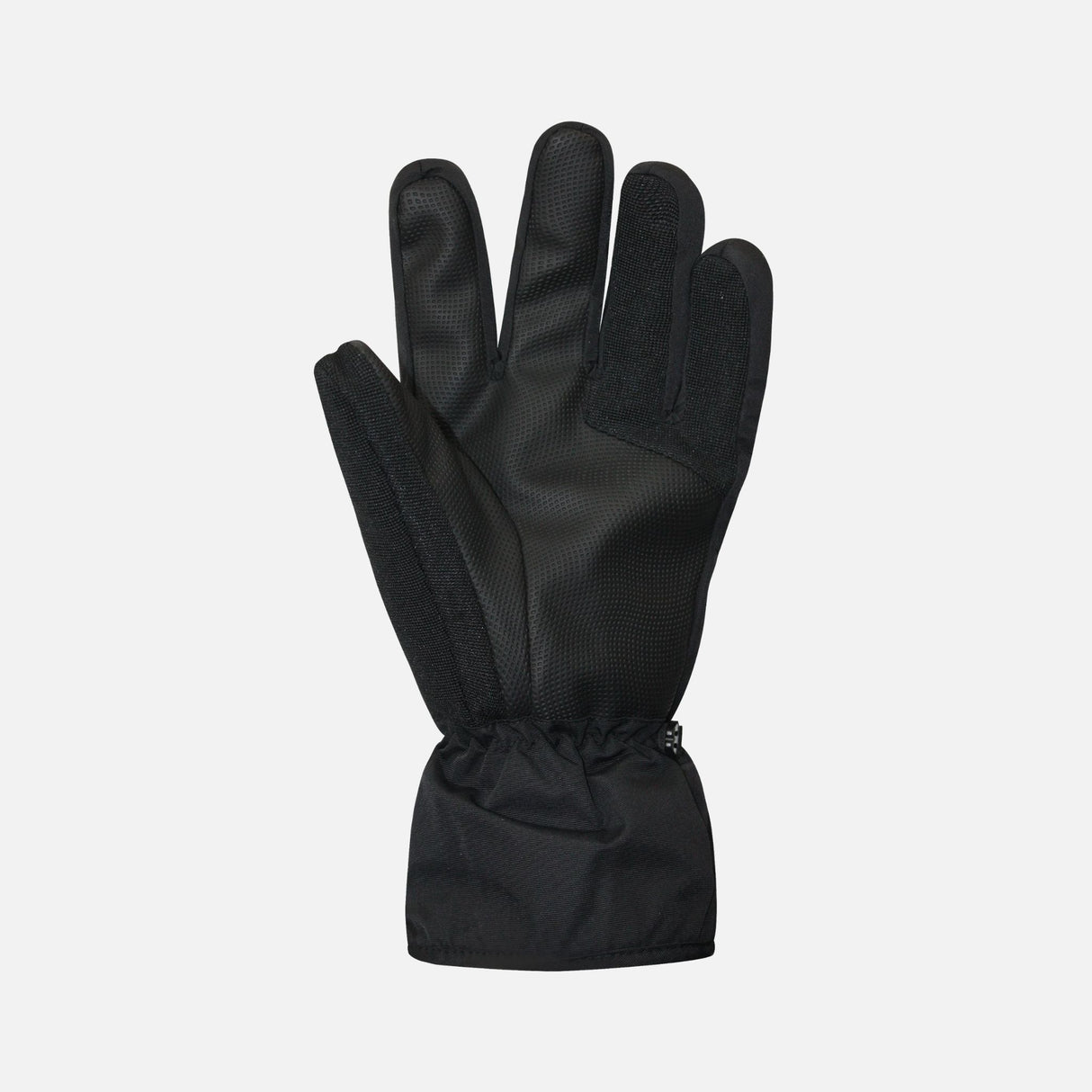 Gants-Horizon-Auclair-2H029-noir-paume