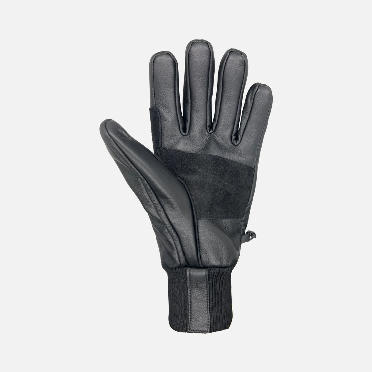 Gants-Snow-ops2-Auclair-2J030-noir-paume